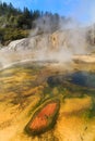 The colors of Orakei Korako geothermal area, New Zealand Royalty Free Stock Photo