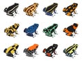 Colors and patterns of poison-dart frogs Royalty Free Stock Photo