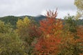 The colors of Pico Cueto, in BoÃÂ±ar, in the autumn