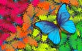 Colors of rainbow. blue tropical morpho butterfly on a blurred multicolored background. Royalty Free Stock Photo