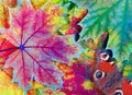 Colors of rainbow. bright colorful autumn leaves and red butterfly texture background.