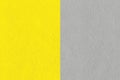 Colors of the year 2021 Illuminating yellow and ultimate gray.