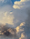 Colossal cloud formation landscape