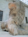 Ancient Greek Lion Statue, British Museum, UK