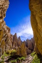 Colossal outliers - Clay Cliffs Royalty Free Stock Photo