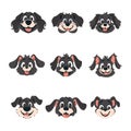 Colossal set of cleverly faces of mutts. Cartoon style, Vector Illustration