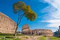 Colosseum as seen from the Palatine Hill in Rome, Italy Royalty Free Stock Photo