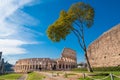 Colosseum as seen from the Palatine Hill in Rome, Italy Royalty Free Stock Photo