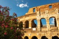 The Colosseum behind some beautiful flowers, Rome, Italy