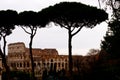 Colosseum behind trees