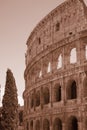 Colosseum or Coliseum in Rome, Italy. Ancient Roman Scenic view of Colosseum ruins in summer
