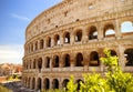 Colosseum Coliseum in Rome, Italy Royalty Free Stock Photo