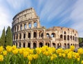 Colosseum Coliseum in spring, Rome, Italy