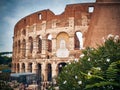 The Colosseum or Flavian Amphitheatre, Roman Forum, Rome, Italy Royalty Free Stock Photo