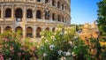 Colosseum and flowers, Rome, Italy, Europe. Rome ancient arena of gladiator