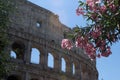 Colosseum monument Royalty Free Stock Photo