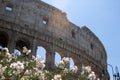 Colosseum monument Royalty Free Stock Photo