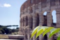 Colosseum monument Royalty Free Stock Photo