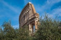 Colosseum on the olive trees in the center of Rome