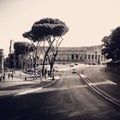 colosseum Royalty Free Stock Photo