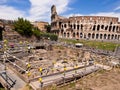 Colosseum Archaeology Dig in Rome, Italy