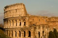 Rome Colloseum Royalty Free Stock Photo