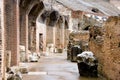 Colosseum Rome Italy Vespasian amphitheater, the antique arena