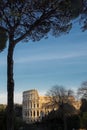 Colosseum, Rome. New Photo