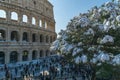 Colosseum during the snow