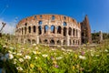 Colosseum during spring time, Rome, Italy