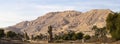 Colossi of Memnon are two massive stone statues Pharaoh Amenhotep III