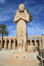 Colossi of Ramses II Royalty Free Stock Photo