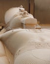 The colossus of Ramses II in Memphis, Egypt. Royalty Free Stock Photo