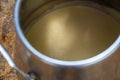 Colostrum in a stainless steel tank for calves Royalty Free Stock Photo