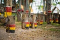 Colouful wooden swings in row. Outdoor children playground