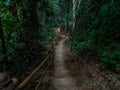 Waterfall jungle trekking into the unknown - Laos