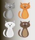 Colour cat set