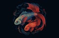 Colour Contrast: Siamese Fish Isolated on a Dark Teal Background AI Generated