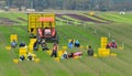 Itinerant workers harvesting crops on Gippsland farms in Victoria Australia