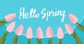 Hello spring text with flowers over blue background