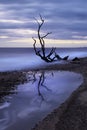 Colour image of the beach at benacre suffolk Royalty Free Stock Photo