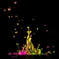 Colour paint splashes isolated on black background Royalty Free Stock Photo