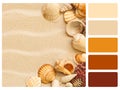 Colour palette swatch.