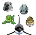 Vector illustration of sea animal Heads