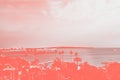 Colour of the year 2019 Pantone Coral , View of the sea and palm trees, top view. Nice, Cannes, Monte Carlo