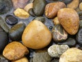 New Zealand: Te Karo Bay pebbles, Coromandel Royalty Free Stock Photo