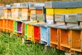 Coloured beehives