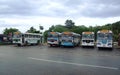 Coloured buses in Galle