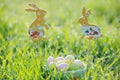 Coloured Easter eggs in a basket with rabbit decorations Royalty Free Stock Photo