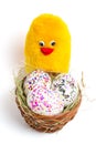 Coloured eggs, base and yellow chicken - the symbol of Easter